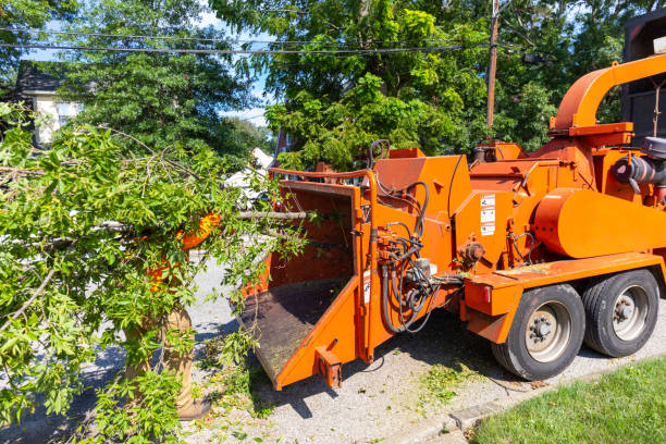 Residential Tree Removal in Covington, TN